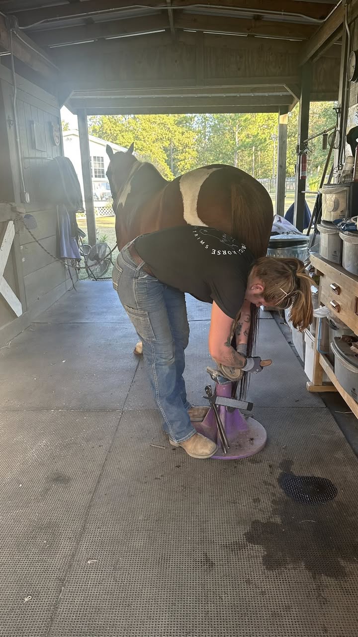 Mariah trimming in covered work area